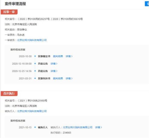 比特大陸關聯公司成被執行人，執行標的超23萬元涉及軟件開發